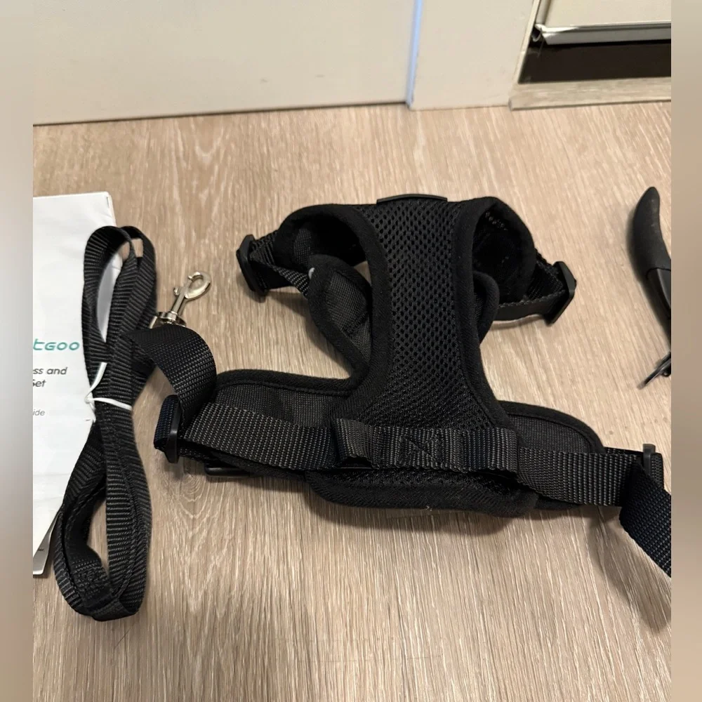 Cat harness and leash